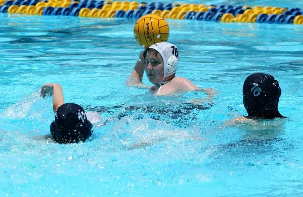Gator Water Polo, Gainesville Florida