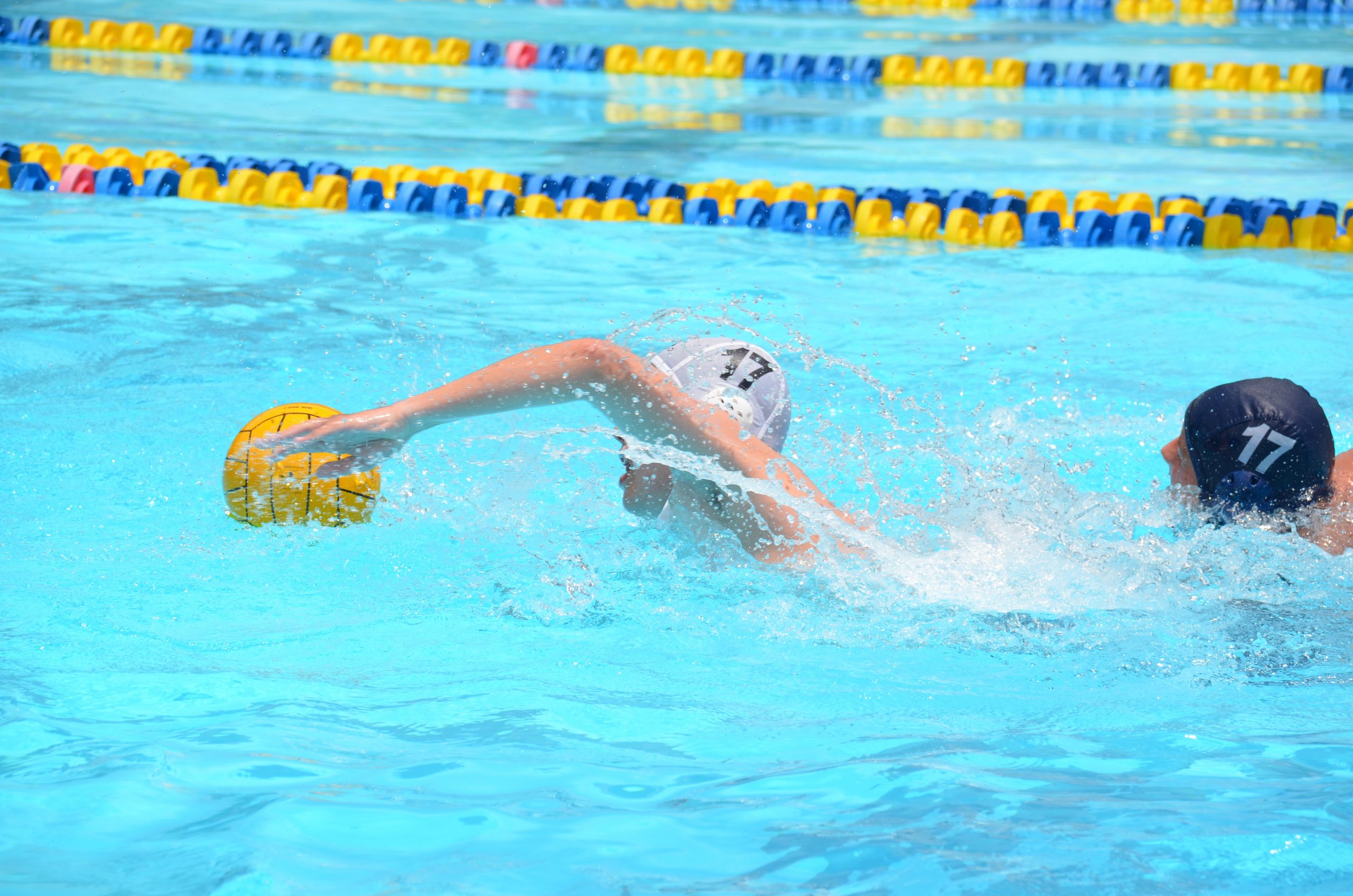 Gator Water Polo, Gainesville Florida Gator Water Polo