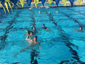 Gator Water Polo, Gainesville Florida