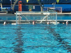 Gator Water Polo, Gainesville Florida