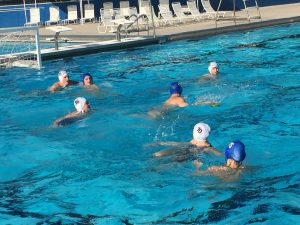 Gator Water Polo, Gainesville Florida