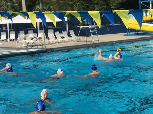 Gator Water Polo, Gainesville Florida