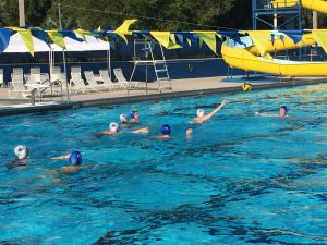 Gator Water Polo, Gainesville Florida