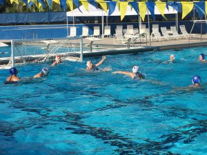 Gator Water Polo, Gainesville Florida