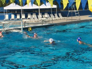 Gator Water Polo, Gainesville Florida