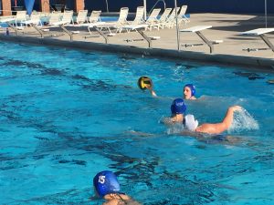 Gator Water Polo, Gainesville Florida