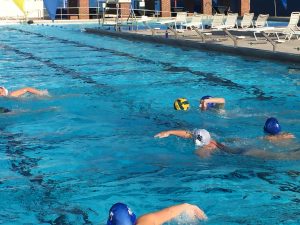 Gator Water Polo, Gainesville Florida