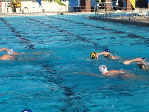 Gator Water Polo, Gainesville Florida