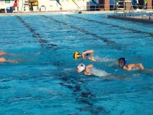 Gator Water Polo, Gainesville Florida