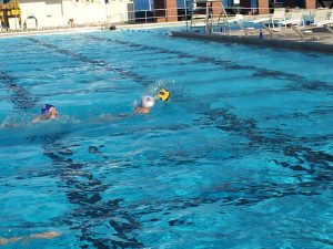 Gator Water Polo, Gainesville Florida