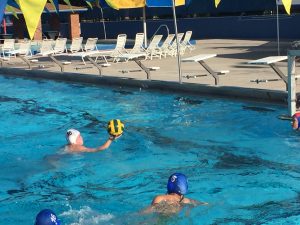 Gator Water Polo, Gainesville Florida