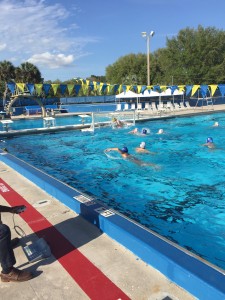 Gator Water Polo, Gainesville Florida