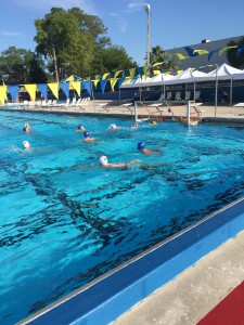 Gator Water Polo, Gainesville Florida