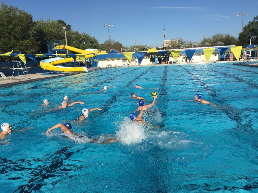 Gator Water Polo, Gainesville Florida