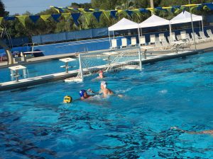 Gator Water Polo, Gainesville Florida