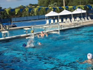 Gator Water Polo, Gainesville Florida