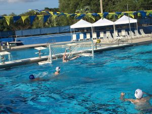 Gator Water Polo, Gainesville Florida